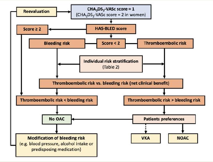 oral-anticoagulation-in-patients-with-non-valvular-atrial-fibrillation